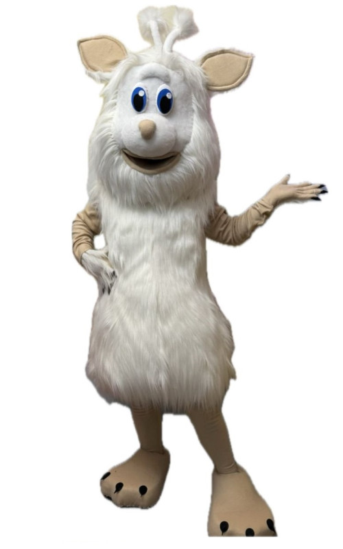 0008-Ростова лялька-БУБА 0008-Ростова лялька-БУБА