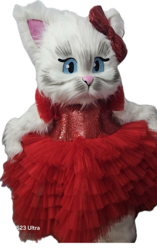 0072 Ростова лялька-Киця Лілі 0072 Ростова лялька-Киця Лілі