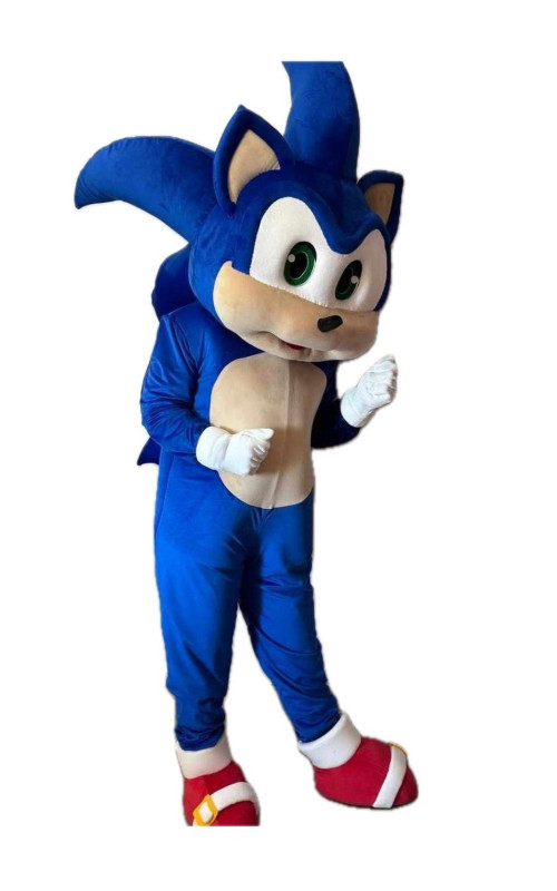 0243 Ростова лялька - Сонік 0243 Ростова лялька - Сонік