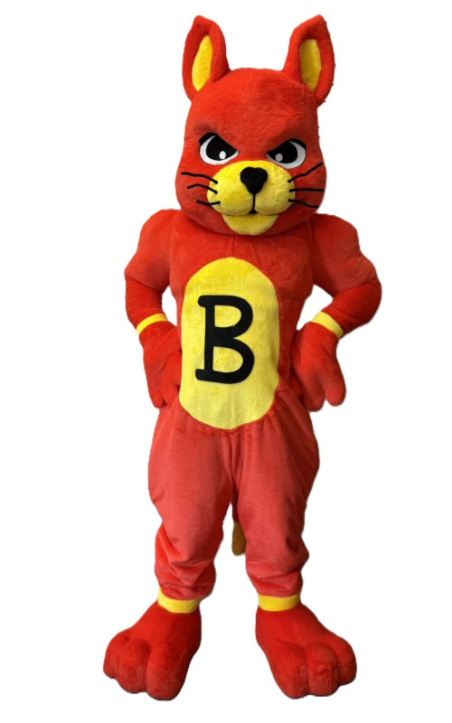 0305 Ростова лялька - Кіт-силач