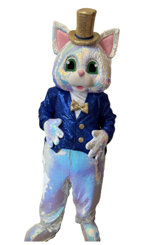 0330 Ростова лялька - Кіт Шайн