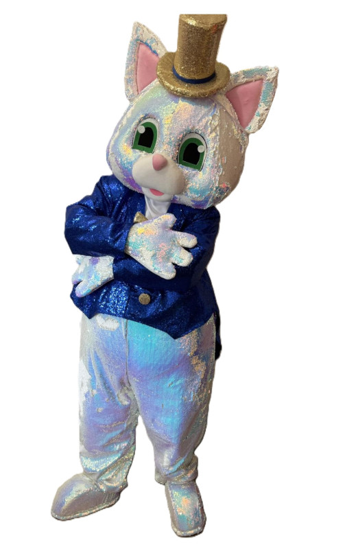 0330 Ростова лялька - Кіт Шайн