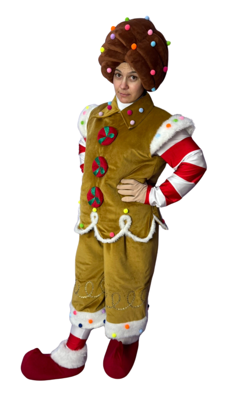 0362 Костюм для аніматорів - Печиво
