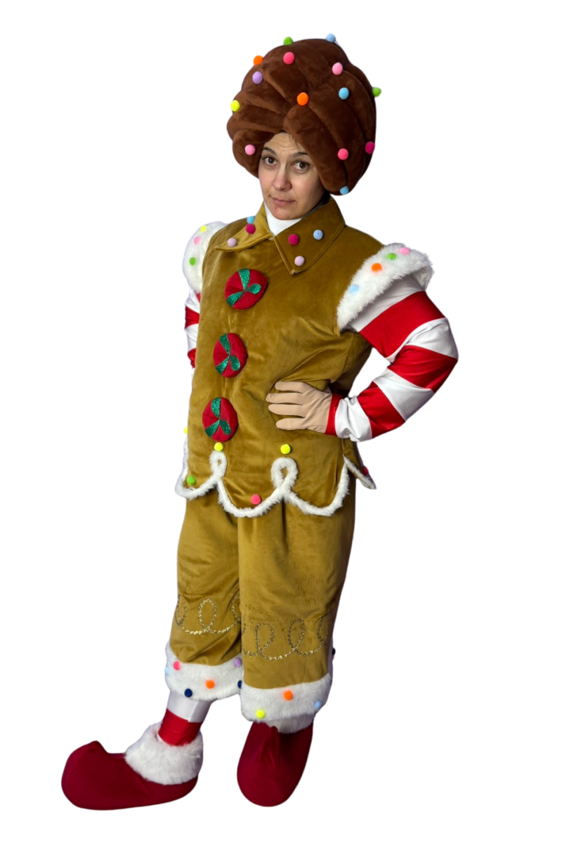 0362 Костюм для аніматорів - Печиво