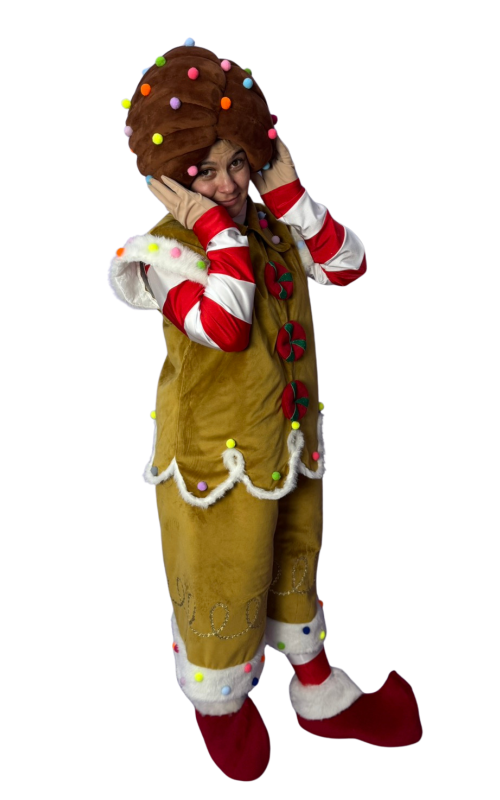 0362 Костюм для аніматорів - Печиво