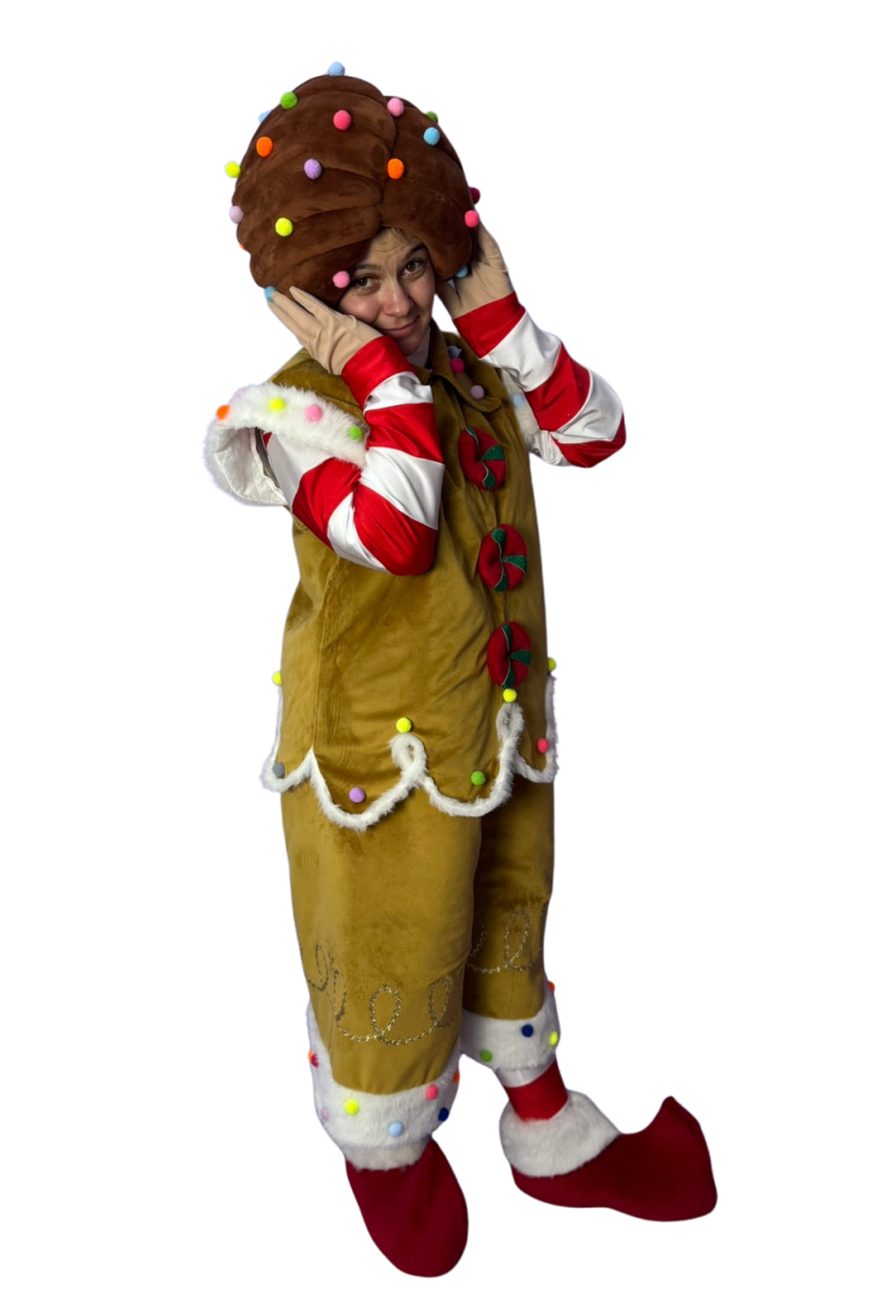 0362 Костюм для аніматорів - Печиво